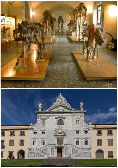 Certosa di Calci - Pisa