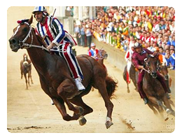 cosa vedere: Siena e il palio